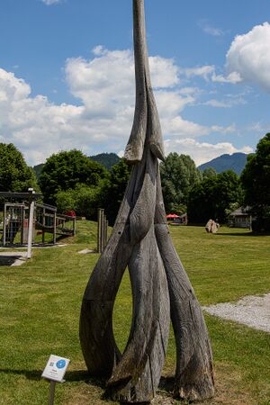 Phönix irdning-1001-2023-06-14.jpg