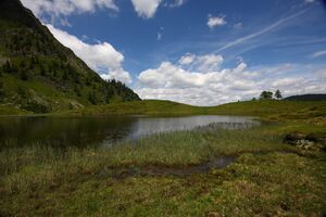 Schobersee 93175 2015-06-26.jpg