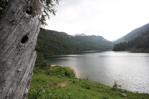 Steirersee südufer 51306 2017-06-24.jpg