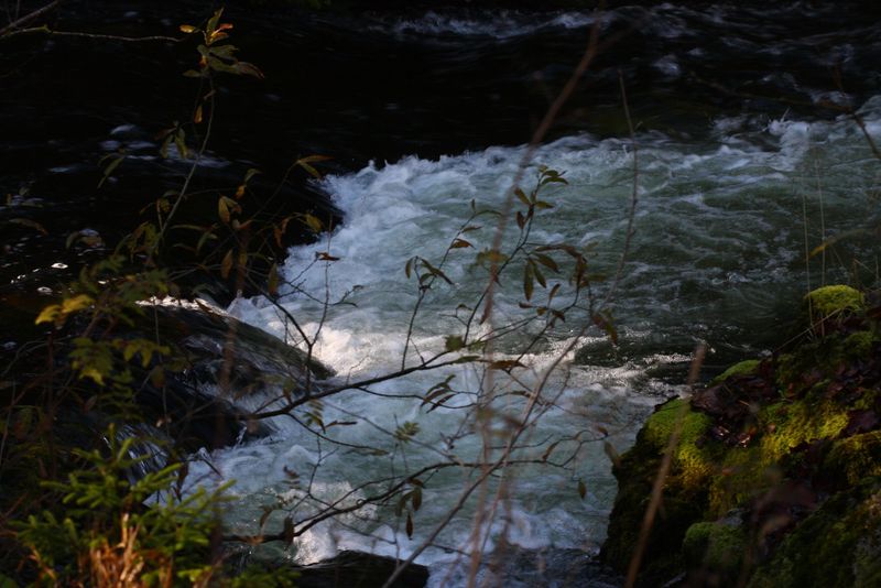 Datei:Stimitzbach grundlsee 78293 2014-11-03.jpg