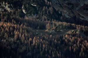 Stornalm -kaibling 90920 2018-11-03.jpg