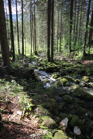 Strummern mühlreith 47185 2017-05-17.jpg