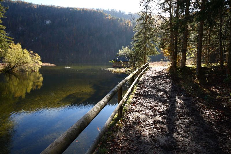 Datei:Toplitzsee 77777 2014-11-03.jpg