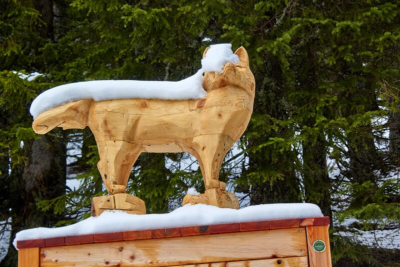 Datei:Waldwegerl planai-0052-2023-05-19.jpg