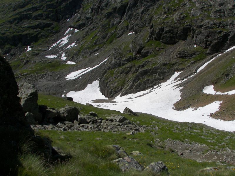 Datei:Wildkar 17446 2006-07-17.jpg