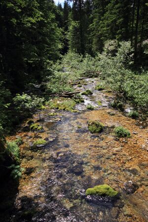 Zimitzbach 77696 2018-06-04.jpg