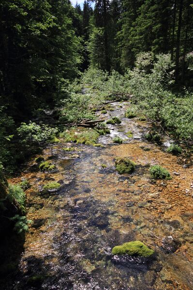 Datei:Zimitzbach 77696 2018-06-04.jpg