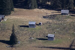 Zleimalm -kampl 91516 2018-11-17.jpg