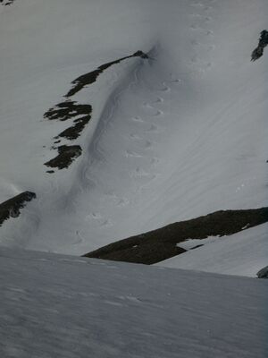 Akarscharte 46425 2004-05-26.jpg