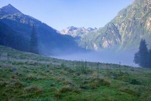 Bodensee 30240 2011-08-02.jpg
