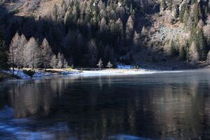 Duisitzkarsee 14378 2011-11-30.jpg