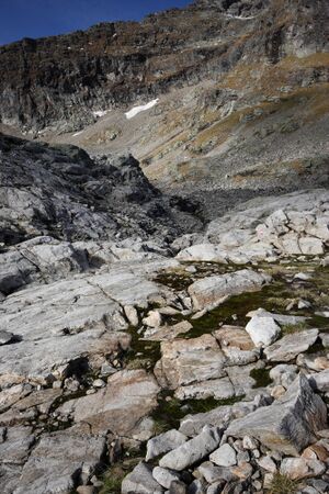 Goldlacken 0230 2013-10-08.jpg