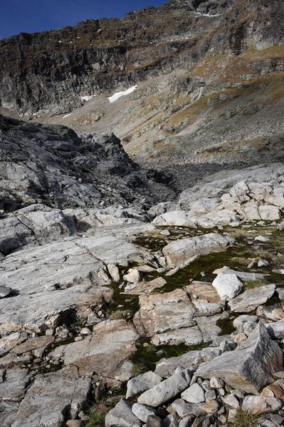 Datei:Goldlacken 0230 2013-10-08.jpg