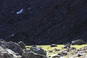 Gollingwinkel 59594 2017-10-02.jpg