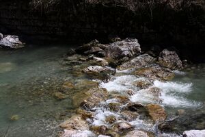 Kalte mandling002.jpg