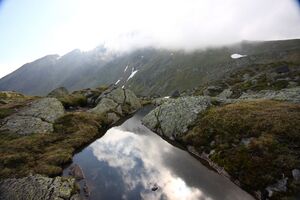 Mitt-nördlichsee-sabinkar 34172 2015-06-08.jpg