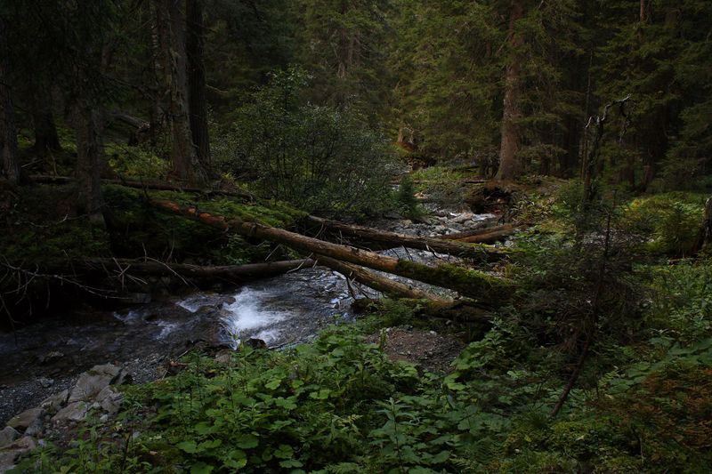 Datei:Neualmbach kleinsölk 72476 2014-09-17.jpg