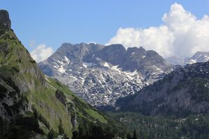 Rotgschirr -Langtal 77594 2018-06-04.jpg