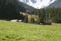 Strickeralm 56097 2014-05-02.jpg