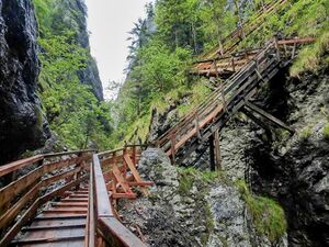 Wörschachklamm 58039 2014-05-15.JPG