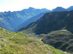 Wildkar 17404 2006-07-17.jpg