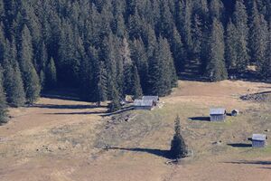 Zleimalm -kampl 91515 2018-11-17.jpg