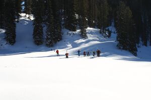 Große wiesmahd 97963 2015-01-13.jpg