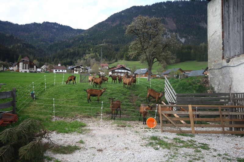 Datei:Lengdorf 20795 2016-04-15.jpg