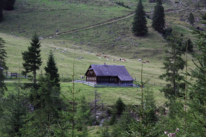 Datei:Lettmaieralm sattental 56537 2017-08-25.jpg
