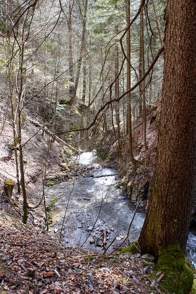 Datei:Mühlbach lessern-0316-2023-04-22.jpg