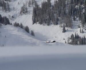 Moseralm-7592 10.03.2009.jpg