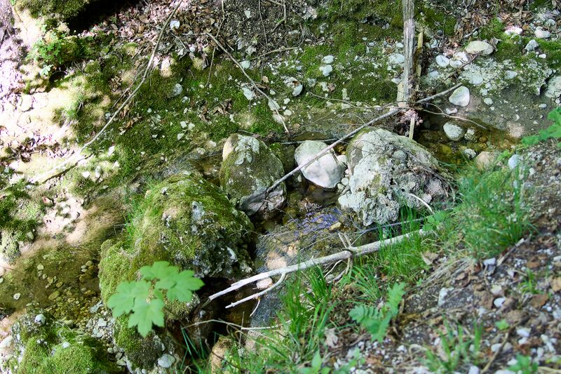 Datei:ND 356 Teichenbach Unterkainisch-0212-2025-05-01.jpg