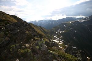 Nageleck 73993 2014-06-15.jpg