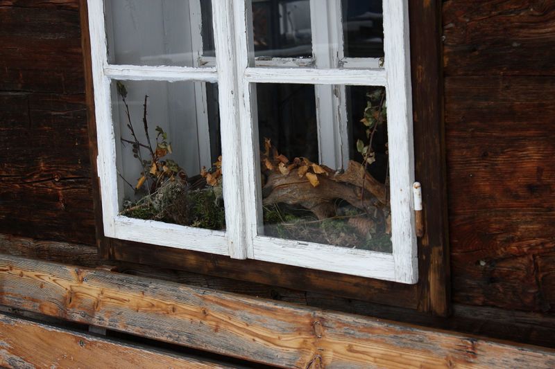 Datei:Quellbodenhütte 3198 2013-11-19.jpg