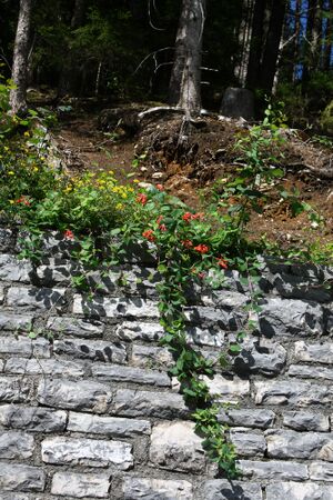 Ramsauer strasse 67110 2014-08-02.jpg