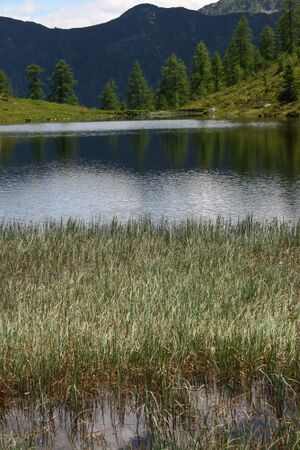 Schobersee 93193 2015-06-26.jpg