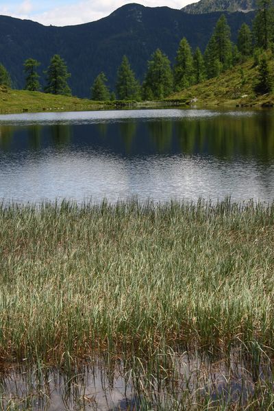 Datei:Schobersee 93193 2015-06-26.jpg