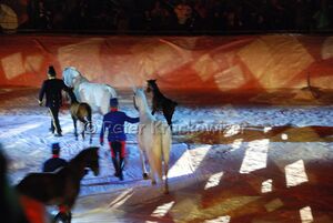 Ski WM 2013 Schladming Eroeffnung 043.jpg