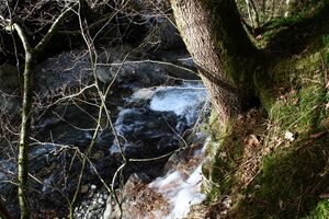 Strubschlucht 33995 2014-01-17.jpg