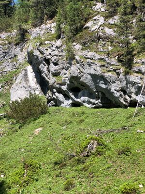 Tiefengruben bienenstöck-1000-2022-06-12.jpg