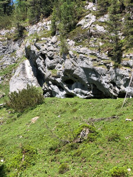Datei:Tiefengruben bienenstöck-1000-2022-06-12.jpg