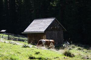 Tuchmoaralm 0240 13-09-05.jpg