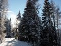 Winterwanderweg 3280.jpg
