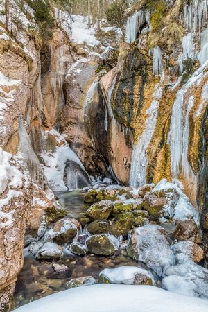 2018-02-25 DSC1297-B.jpg