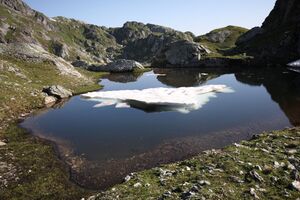 Bergseen beim brettersee 9811 2010-07-11.jpg