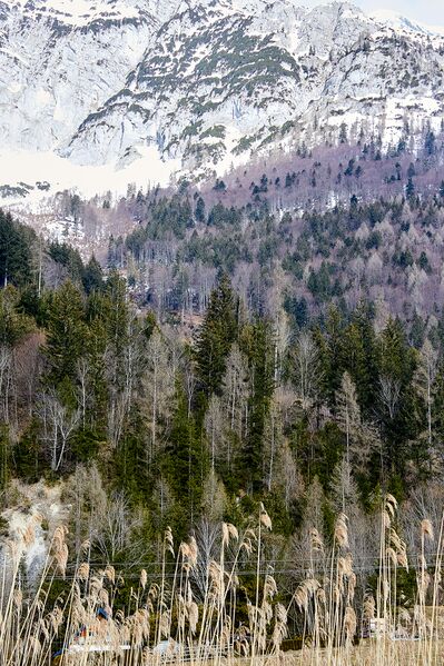Datei:Einödgraben espang-1000-2023-03-10.jpg
