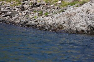 Eiskarsee obertal 01238 2015-09-11.jpg