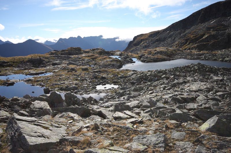 Datei:Goldlacken 0295 2013-10-08.jpg