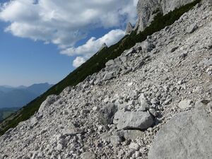Großer Donnerkogel150240.JPG