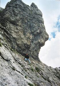 Herzmann-Kupferplatte 1870.JPG